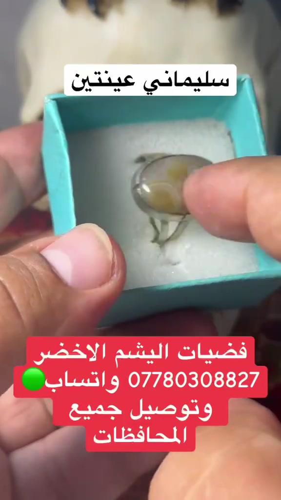 كلمن وسعره اكو توصيل ***********
