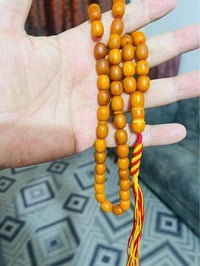 كهرب بولوني • ٣٦ غرام • ٥١ حبة