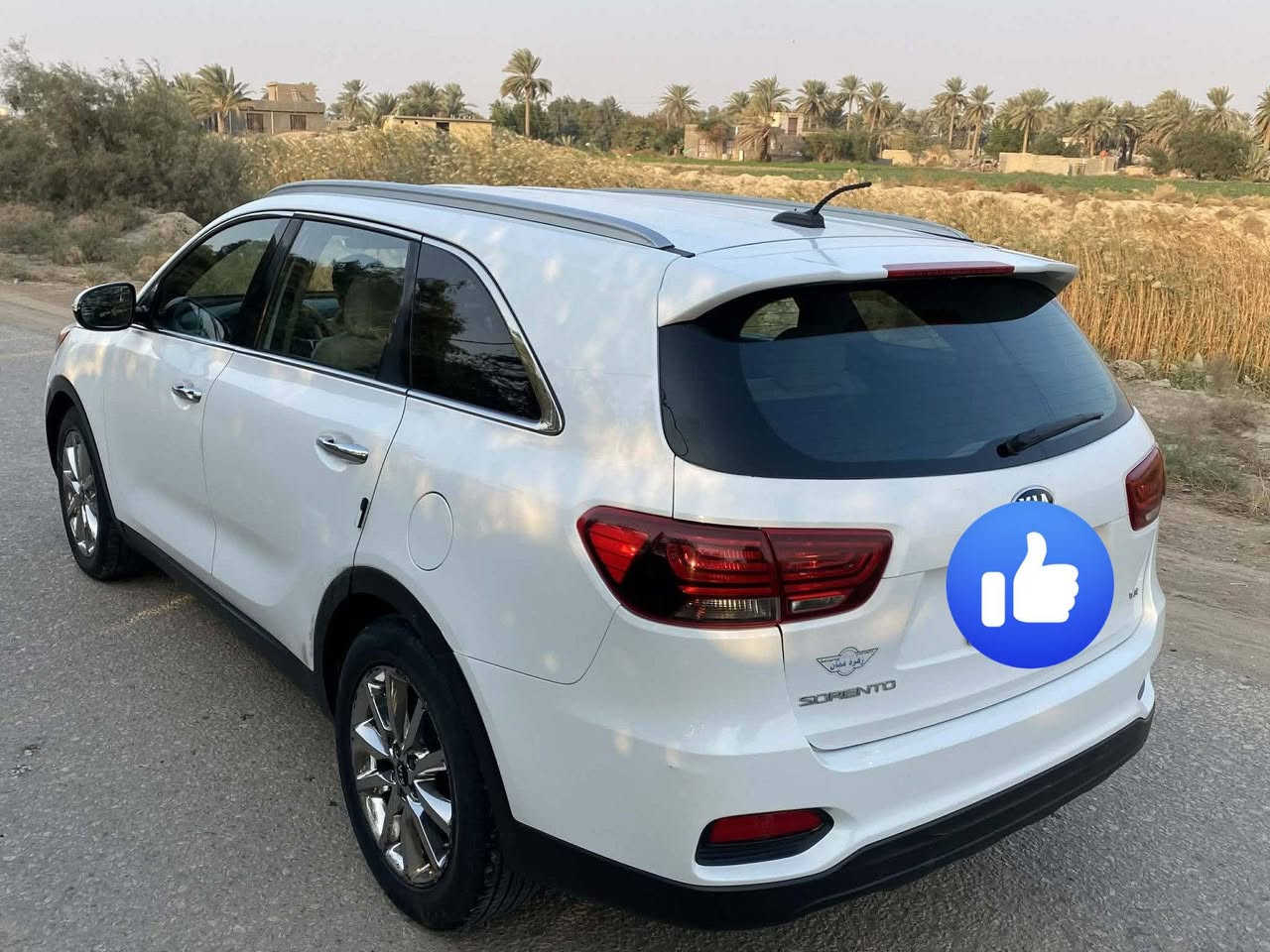 للبيع سورنتو ٢٠١٩ وارد امريكي كلبت فقط دعاميه بدون دواخل كفاله شرط رقم بغداد دولي
سيارة جاهزة من كير من تخم تاير حدادية تبريد جديدة 
٧راكب 
٦سلندر شاشة جبيرة وبيها بعد مواصفات
مكاني الحلة السعر ١٨٥ وبيها مجال بسيط 
***********
