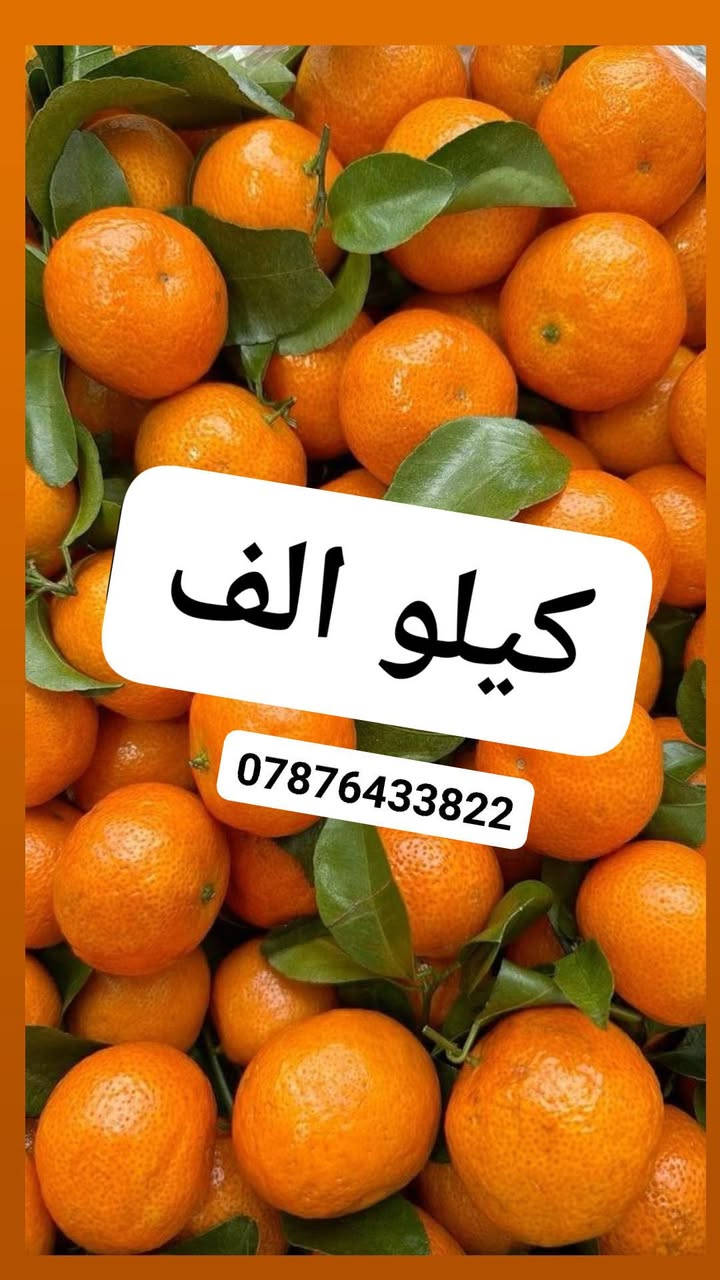الحجز السريع واتساب
https://wa.me/message/FMWUU2LLYDIZN1
***********

الشطره شعله__ متوفر توصيل 
متواجدين من 2 الضهر الئ 5 صباحا
نستقبل طلباتكم بكل حب
