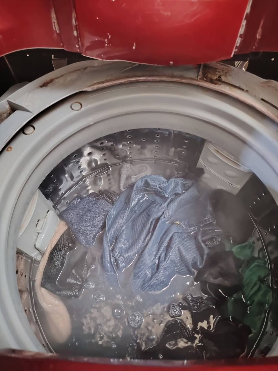 اغ، اض للبيع اسعر مناسب عنوان موصى


**إذا كنت صاحب هذا الإعلان وتريد حذفه لأي سبب، رجاءا أرسل رسالة إلى الدعم الفني**