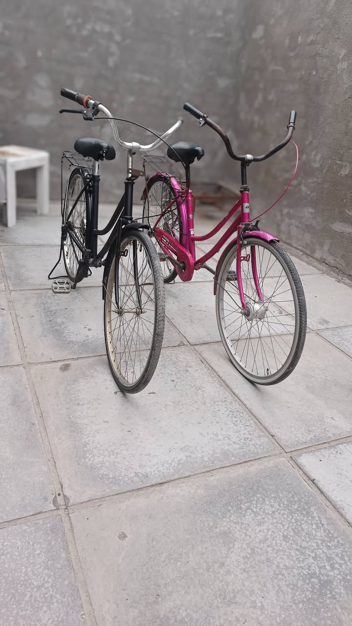 سلام عليكم شباب بايسكلات 3ثنين بناتيات واحد فكسد  
ال بناتيات نقص الوردي واير ويده مال بريك امامي 
الاسود بريك امامي يراد له  
وياله موس عدله حجمهن26 
الوردي حساس 
الاسود عادي 
الفكسد بي بريك مكينه وموضح كدامك 

مكان بغداد بياع لتواصل ***********
