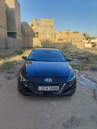 النترا 2023 • وارد امريكي • صبغ عام