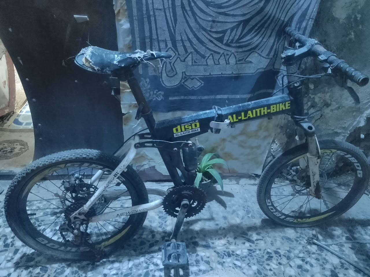 بايسكلات للبيع سعر ثنينهم 30


**إذا كنت صاحب هذا الإعلان وتريد حذفه لأي سبب، رجاءا أرسل رسالة إلى الدعم الفني**