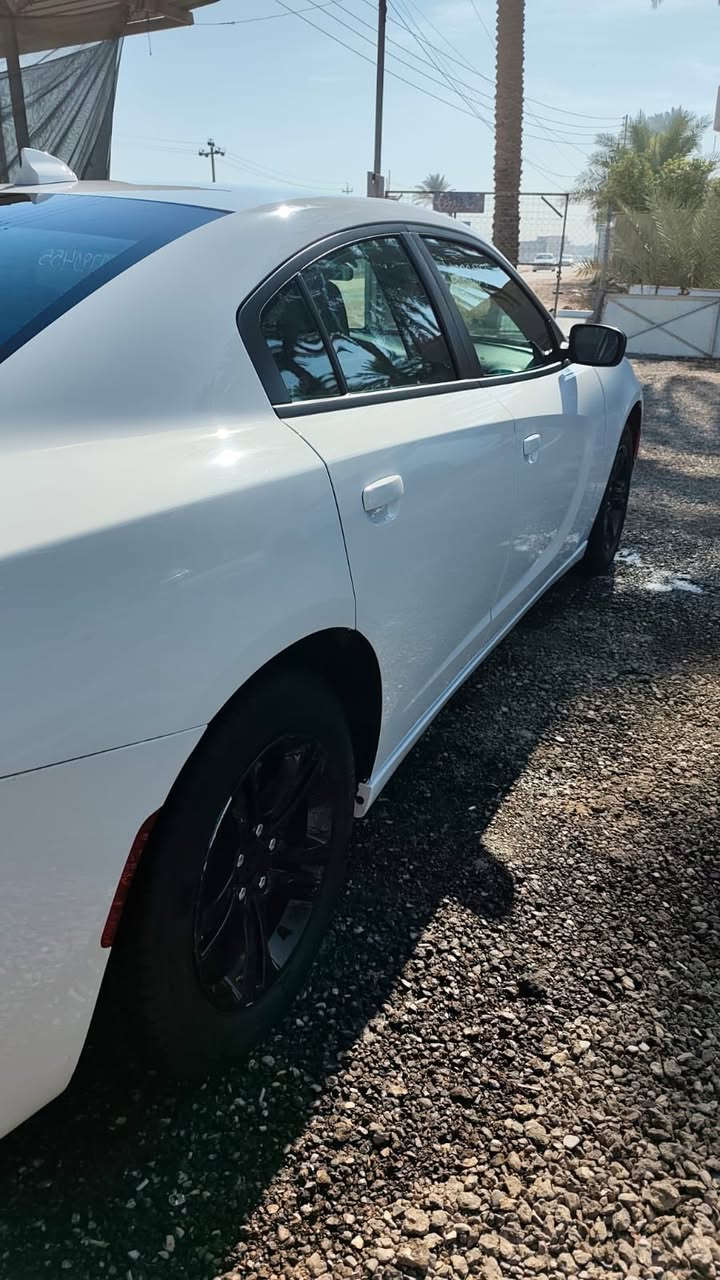 السلام عليكم
جارجر موديل ٢٠٢٣
مواصفات  معروفه 
محرك ٣٦٠٠ 
السياره جديد بمعنى الكلمه ماشيه ١٢ ميل  
مكفوله عدى ربع الجاملغ الأمامي  موضح بالصور
رقم أربيل  تحويل أو وكاله 
مكانه بالحله 
باقي تفاصيل اتصل ع الرقم  اني مكلف بالنشر 

‭٠٧٧٥ ٠٥٢ ٠٦٦٩‬
