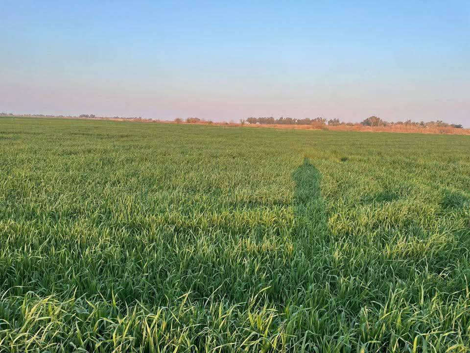 بيت للبيع مساحة ١٥٠ متر طابو زراعي سند ٢٥ طابقين بناء هندسي الطابق خريطة كامله والطابق الثاني مشتملات عدد اثنين نظام سويتات منفصلات  الاتصال على الرقم ***********
