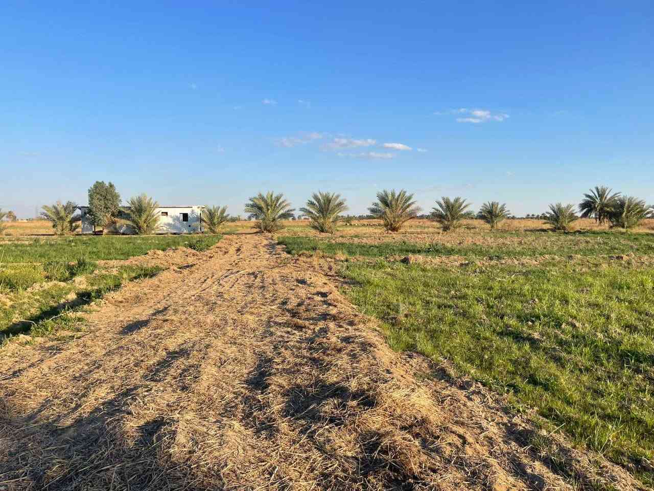 قطعة أرض للبيع.....
طابو زراعي سند ٢٥ تحويل مباشر
المساحة ثنين دونم
وجهه على الشارع ٣٣ متر نزال ١٥٢ متر 
الموقع الرمادي ناحية اليرموك قرب مزرعة شيخ إحسان
موقع مميز صالحة لزراعة او اي مشروع استثماري
السعر المطلوب دونمين بسعر ٣٥ مليون
للإستفسار أكثر الاتصال على الأرقام التالية
*********** واتساب
*********** واتساب
او مراسلة الصفحة في اي وقت نعتذر عن التأخير عن الرد في بعض الأحيان
نستقبل جميع العروض العقارية في مدينة الرمادي
ابو احمد
