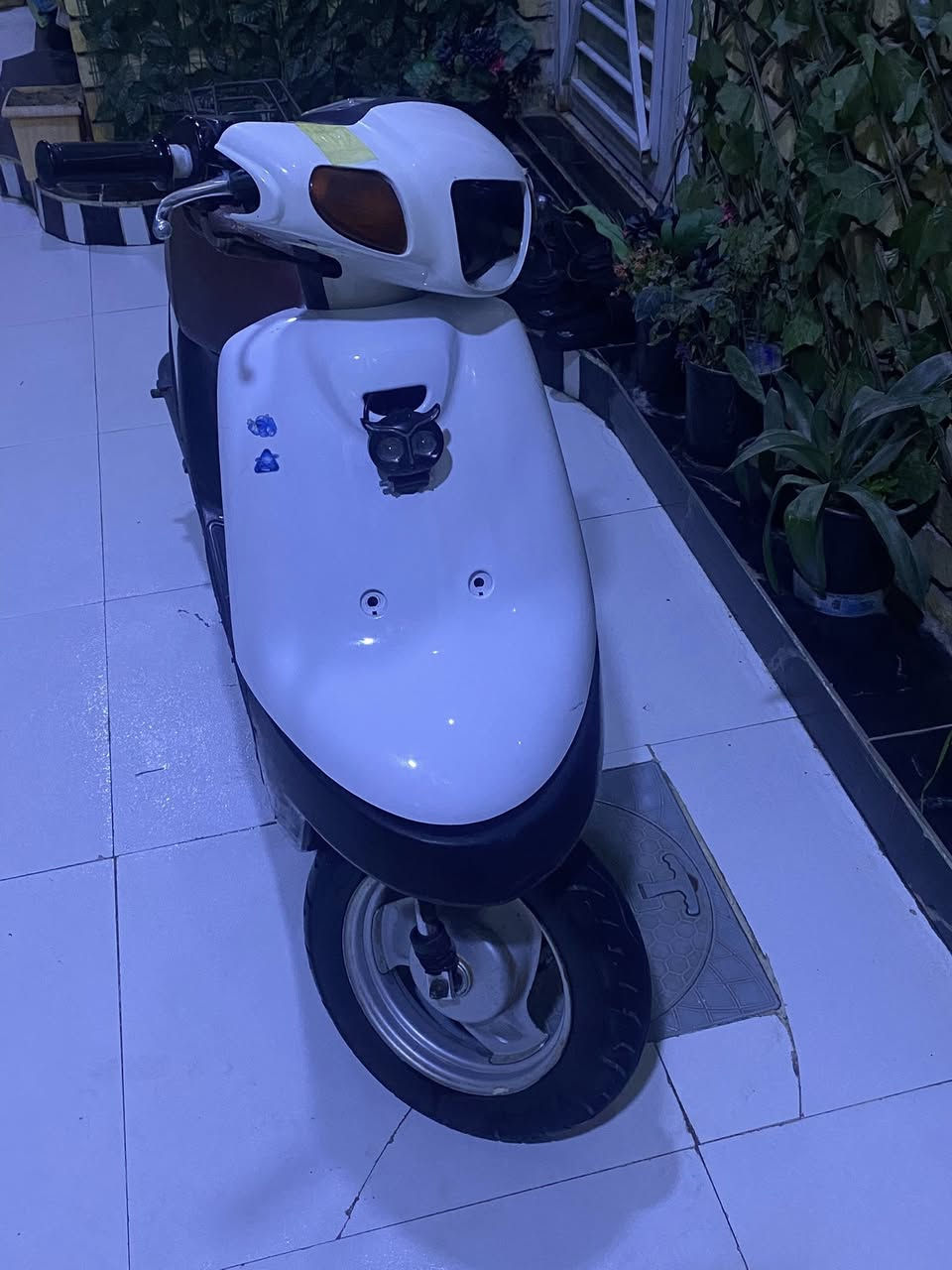 السلام عليكم دراجه بتره للبيع الدراجه كامله من كهربائيات عوزه بس باتري وكلوب امامي السعر 250وبيه مجال مكاني ناصريه مركز


**إذا كنت صاحب هذا الإعلان وتريد حذفه لأي سبب، رجاءا أرسل رسالة إلى الدعم الفني**