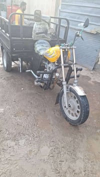 ستوته • شاصي مكفول • بصره ابو الخصيب