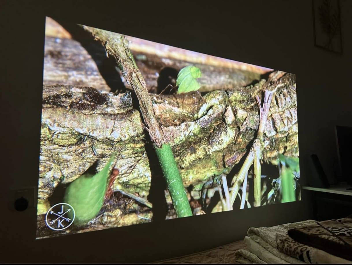 للبيع 145 مع التوصيل 
جهاز العرض الذكي TOPTRO X7 هو جهاز عرض شهير  مزود بنظام أندرويد مدمج، ويحتوي على تطبيقات مدمجة مثل نتفليكس ويوتيوب، بالإضافة إلى ميزات مثل التركيز التلقائي، وتصحيح الانحراف التلقائي، وواي فاي 6، وبلوتوث 5.2 لتوفير تجربة سينمائية منزلية متعددة الاستخدامات. تشمل الميزات الرئيسية محركًا بصريًا محكم الإغلاق ضد الغبار لمنع ظهور البقع، وسطوعًا عاليًا (حوالي 600-700 لومن ANSI)، وسهولة الاتصال عبر HDMI وUSB والبث اللاسلكي
ستمتع بالافلام والألعاب ومباريات حجم كبير تعرض اكثر من 5 متر


**إذا كنت صاحب هذا الإعلان وتريد حذفه لأي سبب، رجاءا أرسل رسالة إلى الدعم الفني**