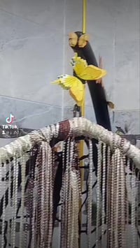 مرجوحة عش • ديكور