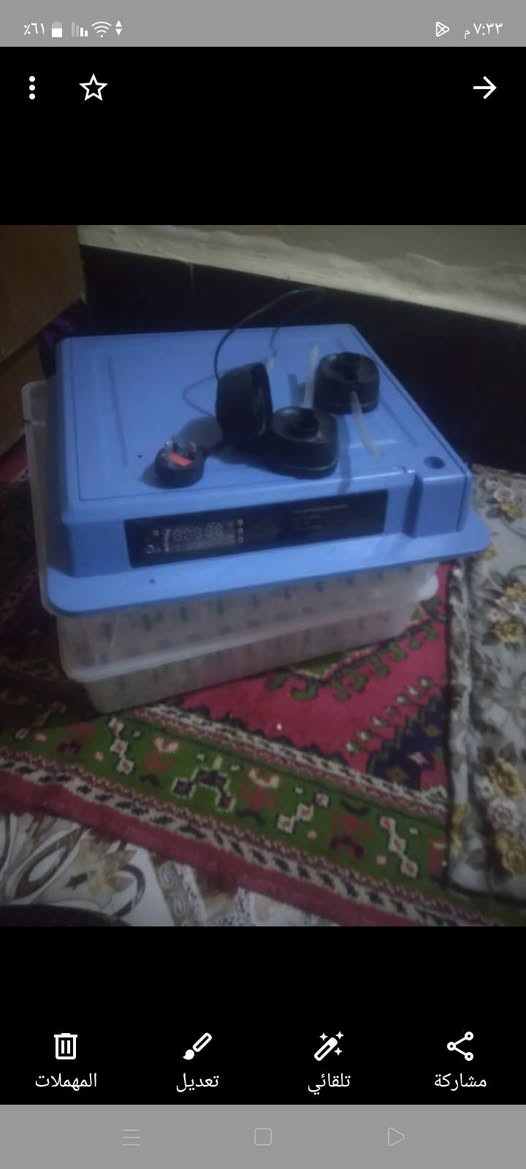 مفقسه لبيع كامله طاقه شمسيه وباتري جديد
اوتو ماتيك تقليب بيض الستفسار هاذه ارقم ***********
