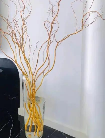 اهلا وسهلا بكم معرض انسب الاسعار 
للمواد المنزليه وادوات المطبخ وكل ماتحتاجه العائله 
للبيع بلنقد ولقسط زورنا ستجدون مايرضيكم 
السده العلكايه شارع العريض 
***********
***********
