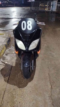 ٢٠٠٨ • ٦٠٠ • اوراق صوليه