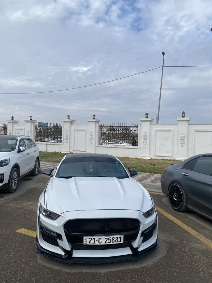 سلام عليكم
موستنك٢٠١٥  كير عادي 
مشايه ٦٠ الف 
حادث جانبي  ٣ قطع جاملغ من امريكه وجاملغ وباب بل عراق بس مو صفحه 
كير مكينه لغد شاصي كفاله 
سياره عليها هواي اضافات 
جكات ب25
كلج مكلاود ب17
تو كلر 
داخل كله كاربون 
غطي مري
سكوبات جابنيه
دفيوزر
دبات اجي تي بور 
لحيه جلاتين
هواي تفاصيل بعد برمجه 
سياره اذا تحسب غراض عليها تطلع رخيصه 
كلشي ذكرت بل منشور مكانها بغداد هزه سنويه كامله كلها تحويل وكاله 
***********
سعر 139 ماكو هيج نضافه بهيج سعر. مراوس حسب قناعه
