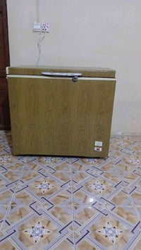 مجمدة • نظيفة • للبيع