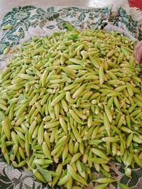 بامية • البيجي