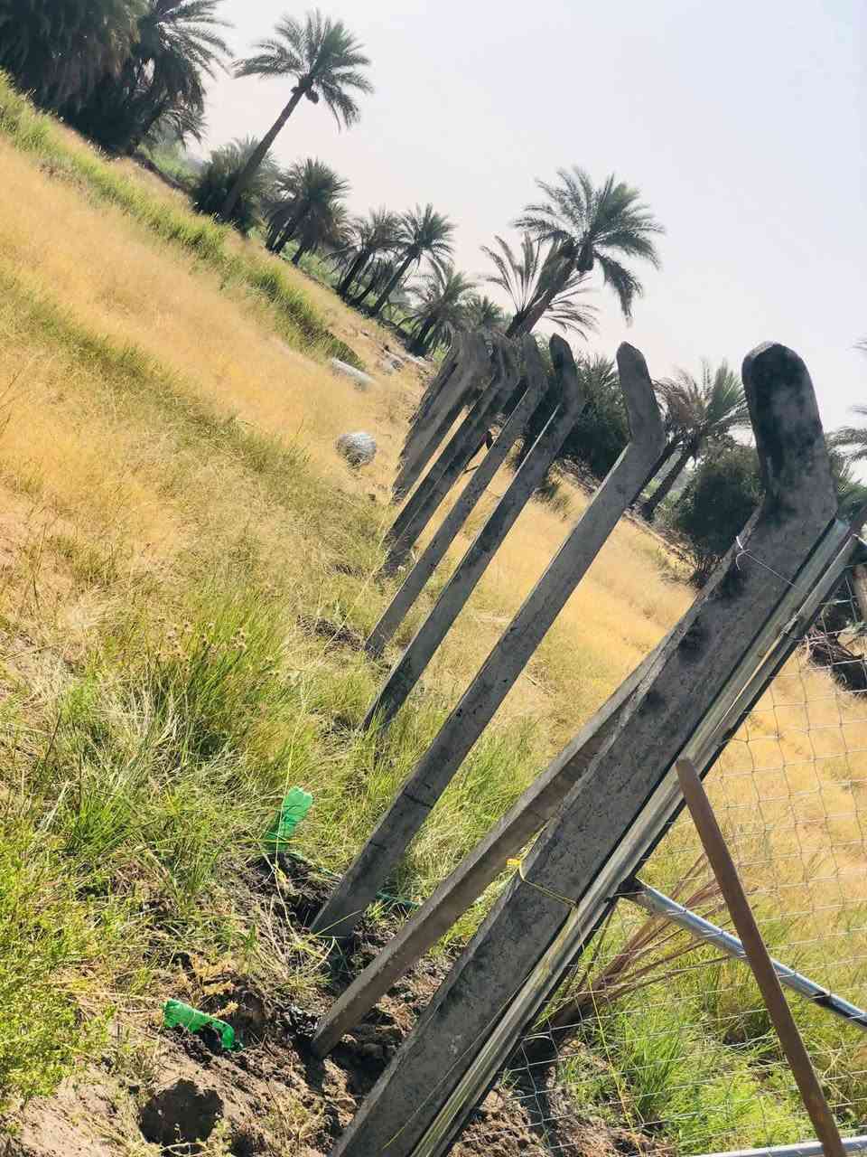 ***********🟣تعلن شركة النهرين لعمل اسيجة ال brc والملاعب ⁦🟣
***********🟣تعلن شركة النهرين لعمل اسيجة ال brc والملاعب ⁦🟣
🔻عن عمل ونصب جميع انواع اسيجة الBRC ⁦⛏️⁩
🔴مستعدون لتجهيز كافه الملاعب 
🔻وعن عمل جميع انواع الاسيجة العشبية الجميلة 🍀🍀
🔻سعر المتر من 6الف 💸الى 10الف 💸حسب الطلب وحسب نوع السيم ⁦⚒️⁩
🔻يوجد كادر مختص بالعمل 💪
🔻نعمل في كافة محافظات العراق 🚛⁦🚛
🔻للطلب او الاستفسار قم بمراسلة البيج او اتصل على الارقام ⁦⬇️⁩
*********** 📲
*********** 📲🔻عن عمل ونصب جميع انوا
