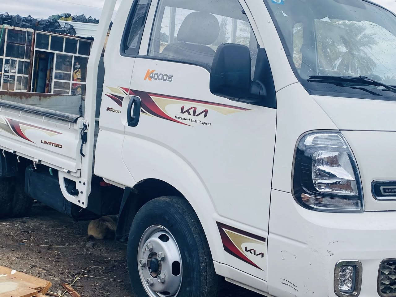 كيا فحل عموشه ٢٠٢٤ ماشايله حمل اخو الزيرو للتواصل ***********
