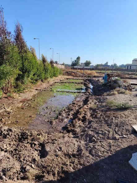 السلام عليكم
قطعة أرض للبيع  طابو زراعي سند 25 المساحة (دونم) الموقع المحاويل قرب دائرة الماي  مقابل بيت ابو الطيارة تعبد عن الشارع العام حله بغداد 500 م موقع مميز متوفر كافة الخدمات ماء كهرباء .. متوفر كرفان داخل المزرعة مجمع صحيات .. للاستفسار الاتصال على الرقم الهاتف ***********
