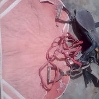 البيع سرج فرس ويا الباده ثنين والجام زنكيات وسرج وسعر ١٢٠وبي مجال وهذه...