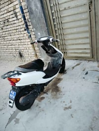 عصفورية • سلف • هندر