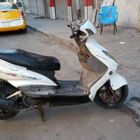 سكنس فحل • كون ١٣ • ٥٨ ونص