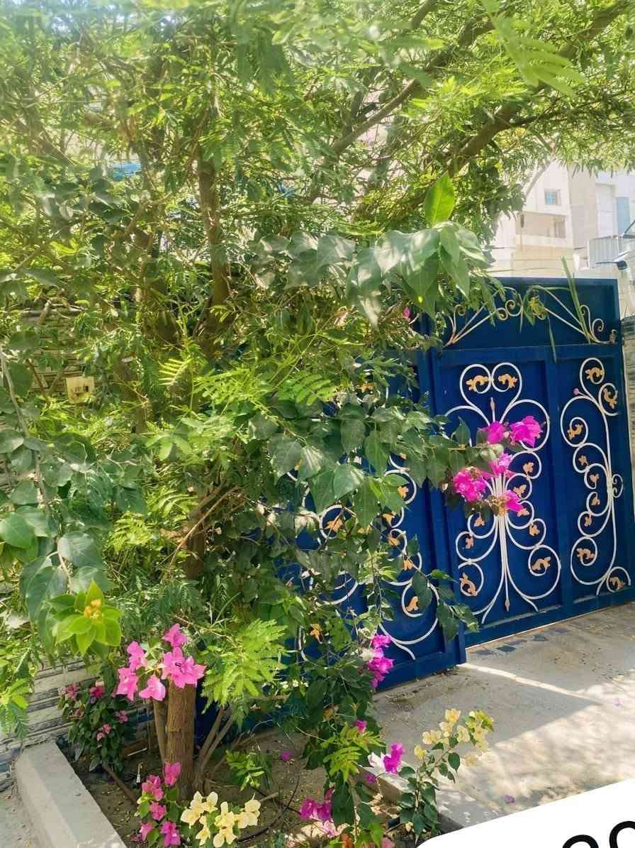 عقار للبيع في حي التربية – البنوك
📍 خلف مطعم الملكة، شارع مثلجات الصفصاف، مقابل ساحة وتشجير  

- المساحة: 360 متر (12×30)  
- البناء: طابقين يحتوي على 5 وحدات سكنية  
  - 2 وحدات في الطابق الأرضي  
  - 3 وحدات في الطابق الثاني 
4_ جميعهن مستقلات ( كل وحدة باب مستقل) 
- صالح للسكن أو للاستثمار (  معهد. مدرسة) 

💰 سعر المتر مناسب ومنافس  

📞 للاستفسار والاتصال على الأرقام المتوفرة
***********
أو واتس
***********
