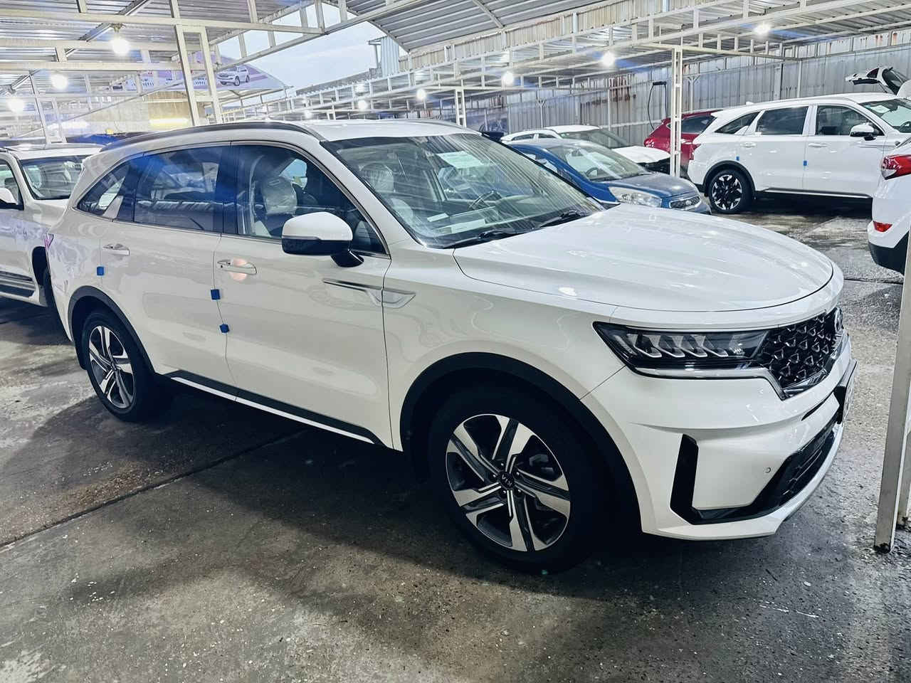 سيارة نوع سورنتو خليجي موديل 21 رقم بغداد بأسمي
فول موصفات عده البنوراما سياره 6 سلندر سبعة راكب 3 قطع تبريد مري شفط جنطه كهربائي  كامرة حساسات  شاشة كبيرة كشنات جلد شحن واير ليس السياره كفالة عامة من ضربة وصبغ وتبديل 

السيارة جديدة ماشية 62 

كير مكينه حداديه تبريد كفالة عامة  عدا بارد  سونار  مرفق معه الصور  

السعر 265 بيه مجال 

الاتصال ***********
