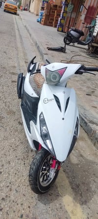 ماكس ثعلب • مضلع • بوشة ٥٥