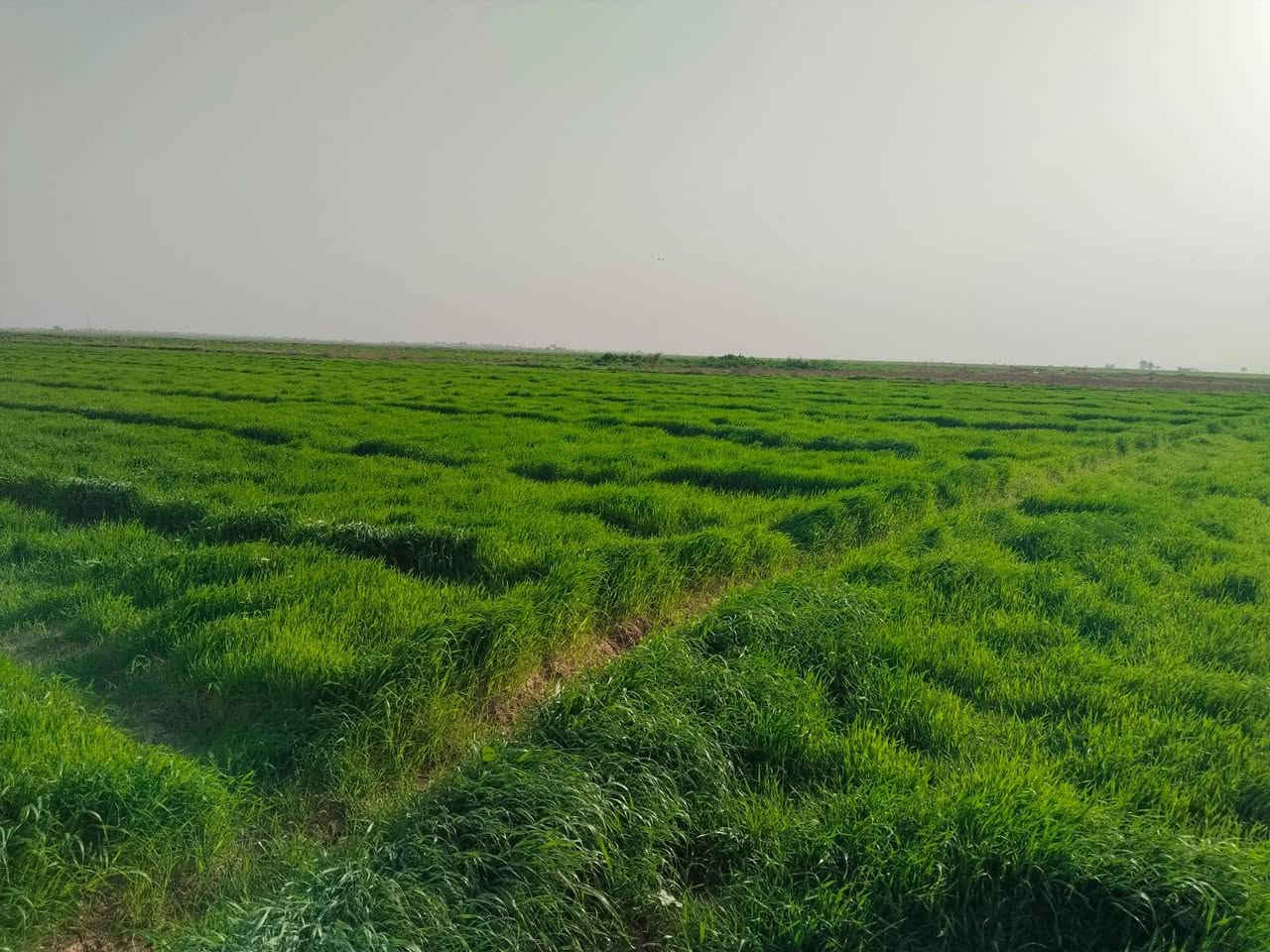 اعلان رقم (809)
قطعة ارض طابو للبيع 
مساحة/10 دونم 
العنوان/قرية جرداغلي 
السعر/دونم 10مليون
-----------------------
للاستفسار اكثر مراجعة مكتب محمد الواقع في فلكة راس فرع جامع الامام علي او اتصال بالارقام التالي 
***********
***********
نستقبل كافة عروضاتكم سكنية وتجارية في كافة المناطق طوز و كركوك...
