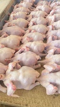 دجاج ذبح • كفت الوزان • شارع المعارض