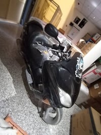 فورزه • ٢٠٠٨ • شغالة