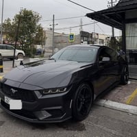 موستانغ ايكوبوست • ٢٠٢٤ • لوحة أربيل