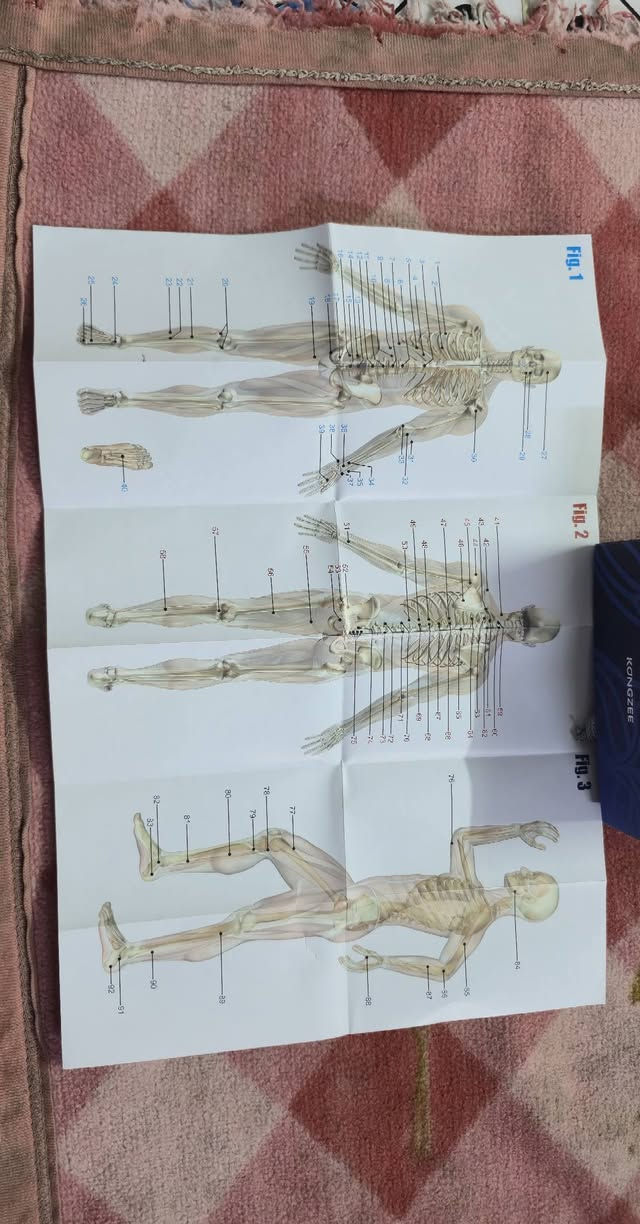 جهاز محفز اعصاب عبر الجلد لجميع اجزاء الجسم  جديد كامل ملحقات شرط اصلي اول تم 18 الف بالعافية


**إذا كنت صاحب هذا الإعلان وتريد حذفه لأي سبب، رجاءا أرسل رسالة إلى الدعم الفني**