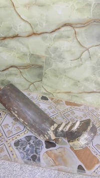 سبايدر • مستعمل • فهود