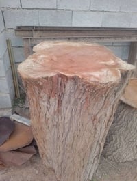 ذني للبيع الشراي يتصل ٠٧٧٠٦١٤٣٢٧٣ابو يحيى