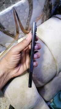 اس ٢٣ الترا • امريكي • حي اور