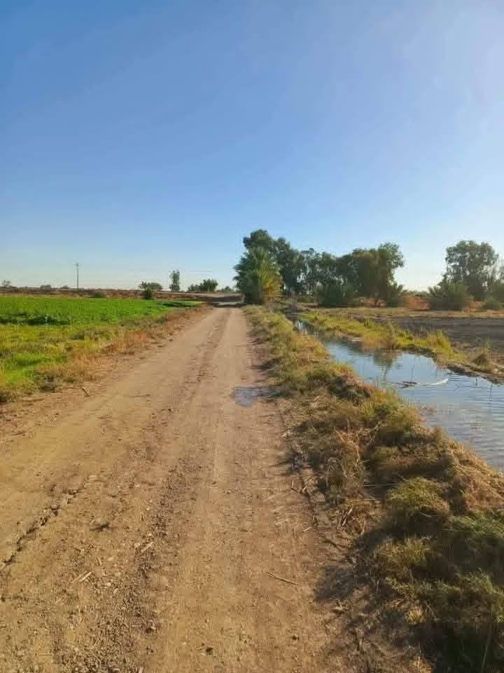 توفر للبيع 17 دونم
( نوع العقار طابو زراعي سند 25 )

🟩 السعر الدونم 6 وبي مجال

     ( مواصفات الأرض ) 💎
تكون على تبليط مباشر
#وواجهة  الواحد تكون 20 متر 

متوفر ماء سقي وكهرباء وسوق ومدارس وقريبة على مركز صحي تصلح للاستثمار العقاري ✅

📍 الموقع التاجي ذراع دجلة منطقة الشيخ عامر العيساويه 
#دوانم #دوانم
للاتصال والاستفسار اتصال *********** واتساب
