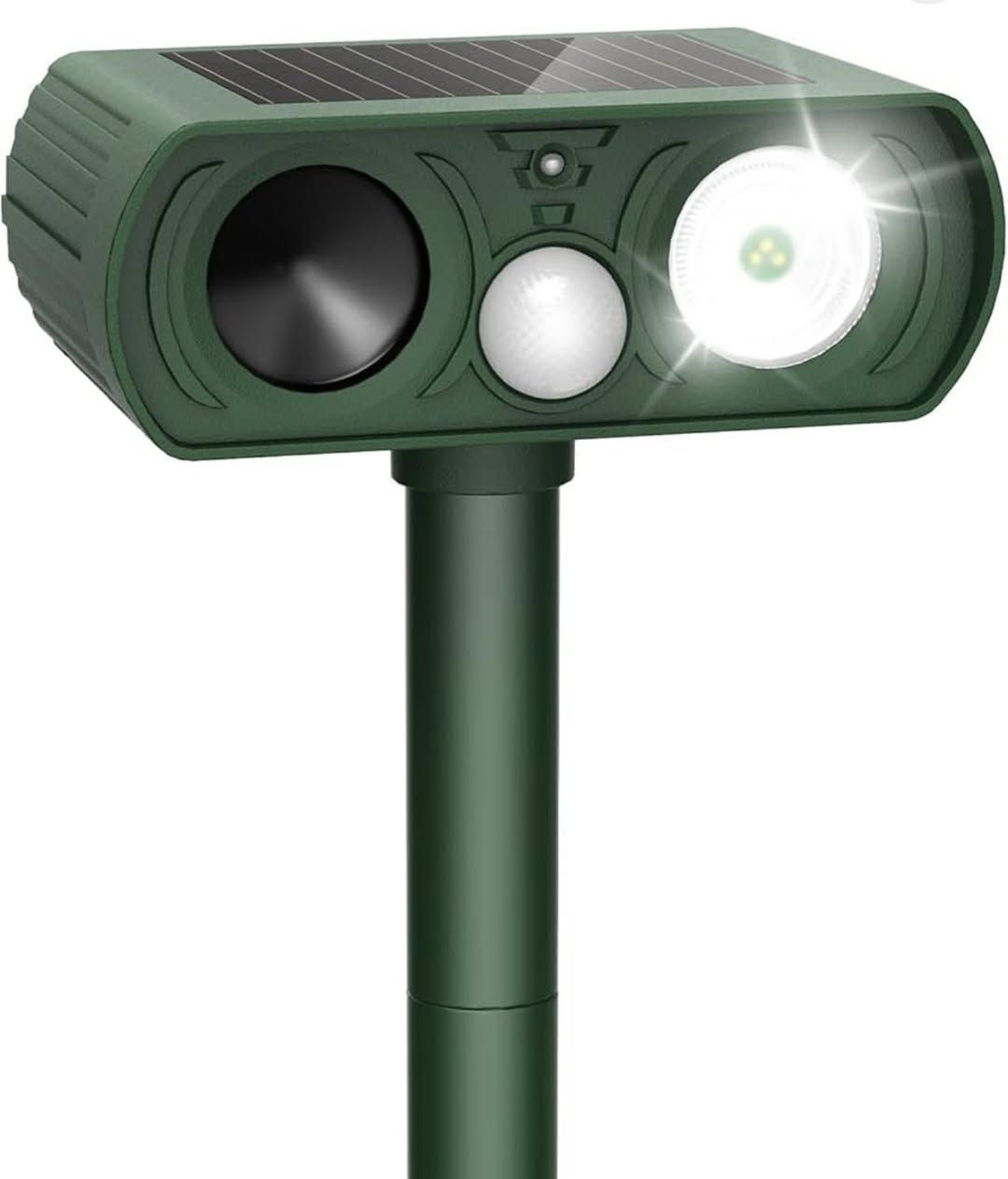 طارد الحيوانات السعر 5000


**إذا كنت صاحب هذا الإعلان وتريد حذفه لأي سبب، رجاءا أرسل رسالة إلى الدعم الفني**