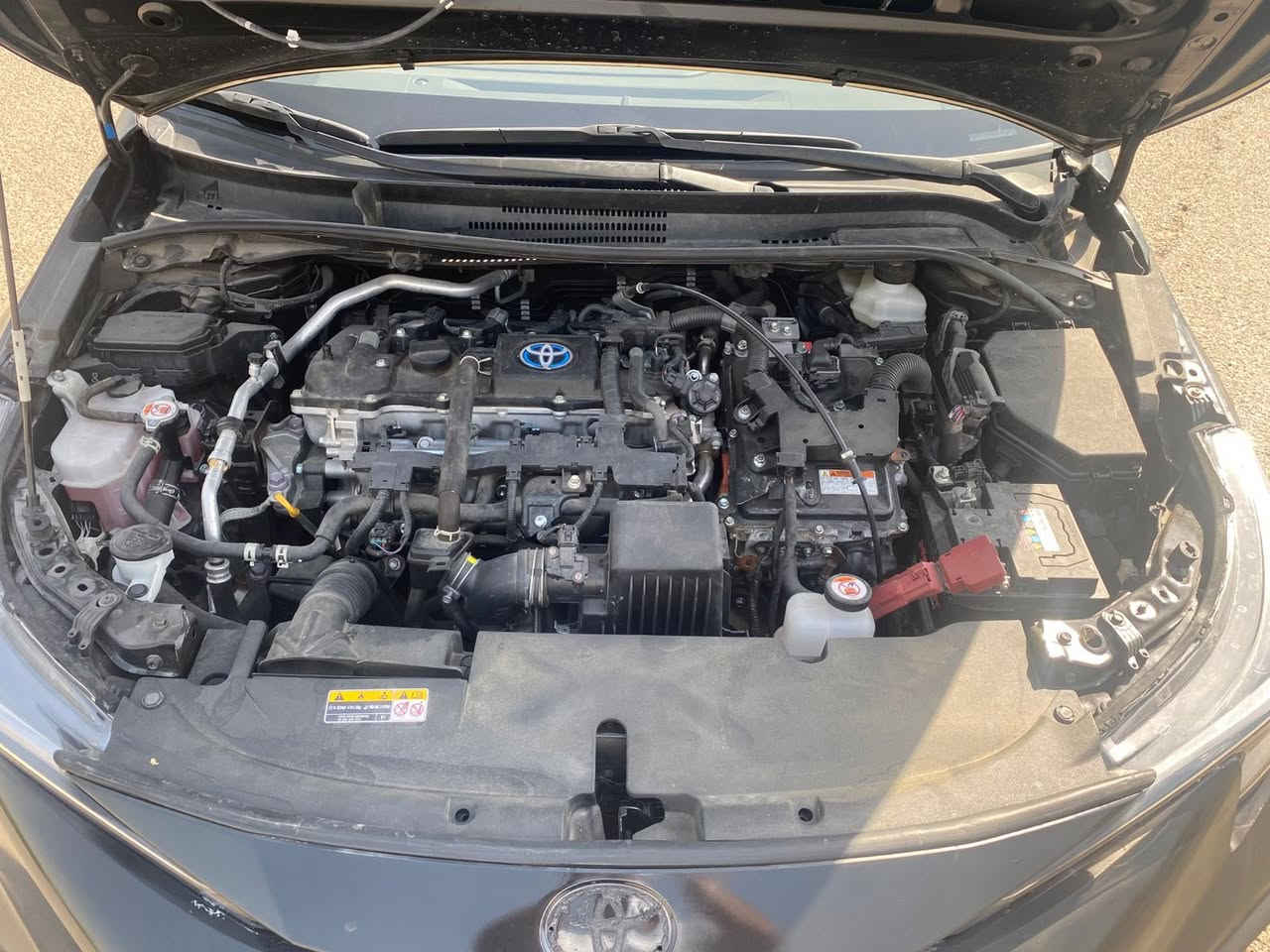 كورلا هايبرد امريكي موديل 2023
فتحه سلايت/ حساسات خلفيه/
مرقمه بغداد الجديد
السعر 140
ضربتها بجم مواصله للغود ميدل جاملغات اثنين وللاستفسار اكثر الاتصال عالرقم
***********
ابو رامي 
مكان السياره العامريه
مكلفه بالنشرررر
