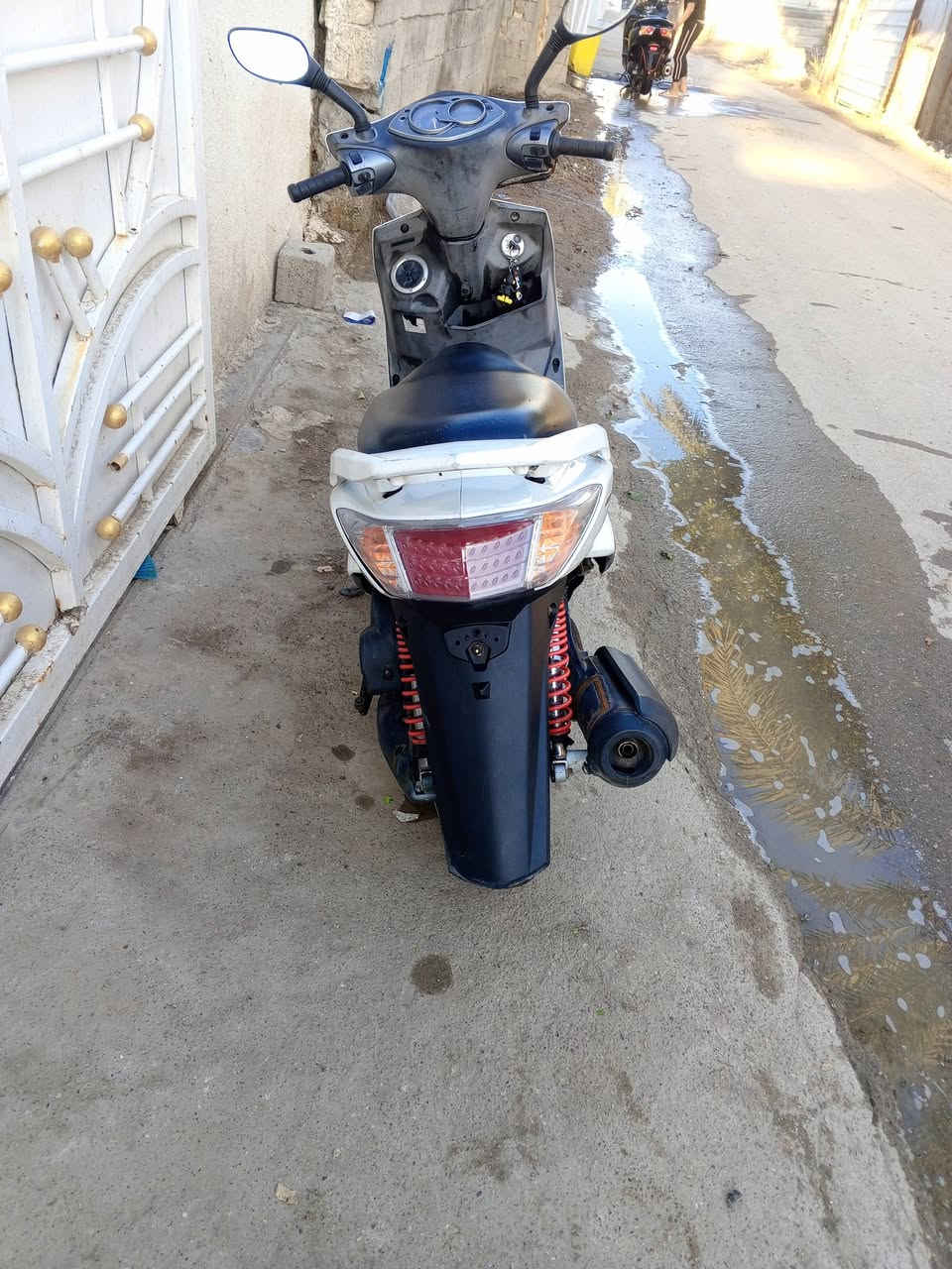 السلام عليكم للبيع سكنس فحل
مكاني الجزيره السياحية بغداد 
مكينه مكفوله 
السعر. 725
***********. انتصال وتدلل
