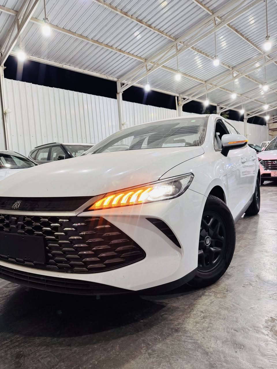 داخل ابيض داخل ابيض 🔥🔥🔥!!!!!!!!!
BYD  QIN  PLUS

انتبه السياره : هايبرد & بانزين & كهرباء🔥 
اللون ابيض  
السعر 🔥🔥🔥🔥🔥
المواصفات 
♣️خليجي 
♦️زيرو
♠️موديل 2025
♦️حساسات خلفيه
♣️حجم المحرك 1,5L
♦️شاشه اصليه + دواره
♠️كامره خلفيه
♦️هند بريك كهرباء
♣️اوتو هولد
♦️مفتاح التشغيل بصمه
♠️تحكمات مقود
♦️مقول جلد حياكه 
♣️دخول ذكي
♦️اشاير بل مري
♠️المقاعد جلد
♦️ اناره داخليه LED
♣️ لد امامي LED
♦️بك لايت LED
♠️قطعتين تبريد
♦️كروس سرعة
♠️حجم الاطار 16
♦️مانع تزحلق

عنوان الشركة 📍..بغداد الكريعات شارع المعارض مقابيل كلية القانون تاج الملك 
للاستفسار عن الأسعار يرجى الاتصال ***********
