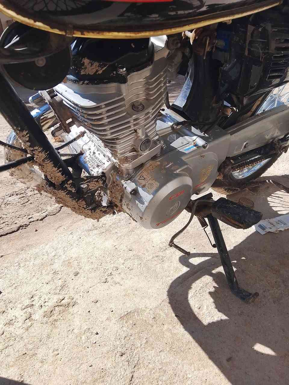 سلام عليكم شباب 
درجة تايكر 
مديل 2021
مكاني الصوير 
رقم ***********
