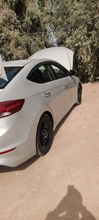 النترا ٢٠١٧ • وارد امريكي • ضرر