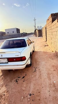 مارك كصيف • مكفولة مكينة وكير • أصوليات