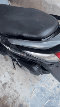 السلام عليكم دراجة سكنس نكره سلف وهندر بكل وكت السعر 450 بيه مجال المكان بغداد حي الانتصار ***********
