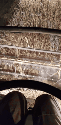 سلام عليكم
حاصده جوندير
موديل 1981
رقم نينوى 
عنون الموصل 
***********
***********
