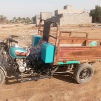 ستوتة • بدون اوراق • كربلاء