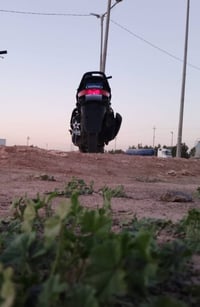 فراشه فحل ٣٠٠ وبيهه مجال لشراي 07801570717